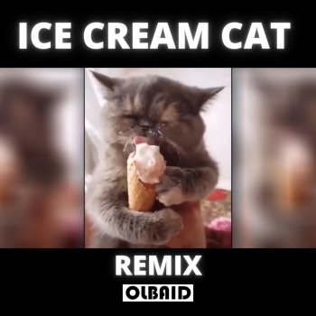 Olbaid Ice Cream Cat (Remix)