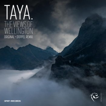 TAYA. feat. Doppel The Views Of Wellington - Doppel Remix