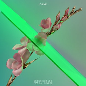 Flume feat. Kai Never Be Like You (Wave Racer Remix)