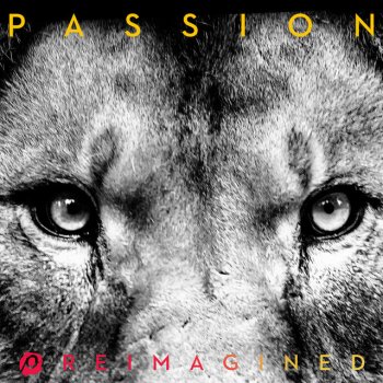 Passion feat. Brett Younker & Justin Amundrud Build My Life - Reimagined/AMUNDRUD Remix