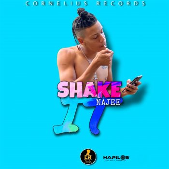 Najee Shake It (Radio Edit)
