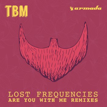 Lost Frequencies Are You with Me (86 Club Mix)