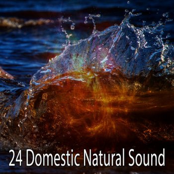 Sounds of Nature Noise Natures Gift Of Peace