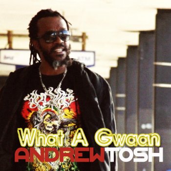 Andrew Tosh What a Gwaan