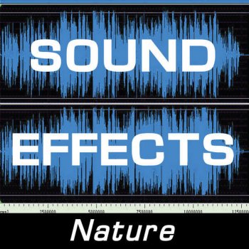 Sound Effects Lion Roars