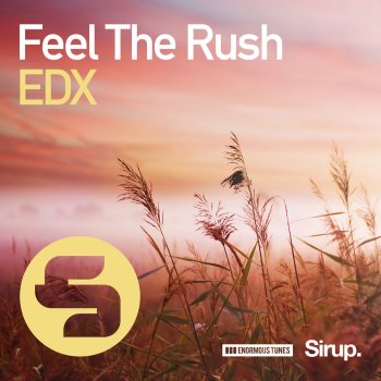 EDX Feel the Rush - Club Mix