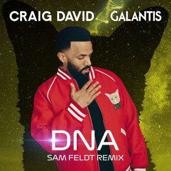 Craig David DNA (Sam Feldt Remix)