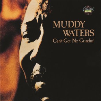 Muddy Waters Garbage Man
