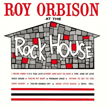 Roy Orbison Tryin' To Get To You