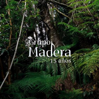 Grupo Madera feat. Enrique Millán El Alma de la Palabra