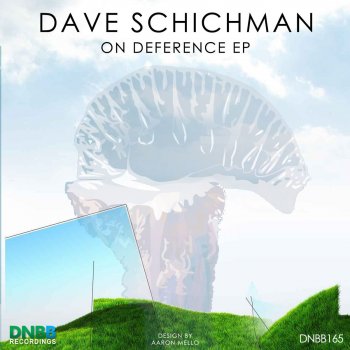 Dave Shichman On Deference