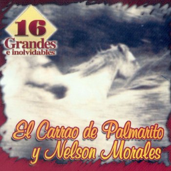 El Carrao De Palmarito feat. Nelson Morales Mi Lindo Llano Apureño