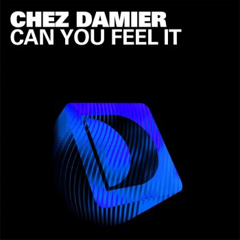 Chez Damier Can You Feel It - Steve Bug Re-Dub