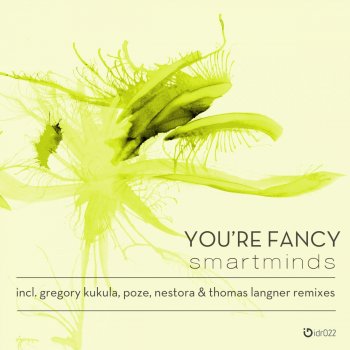 Smartminds You're Fancy (Thomas Langner Remix)