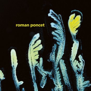 Roman Poncet For Once We Saw the Light