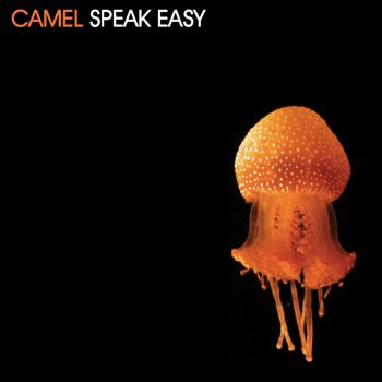Camel Speak Easy