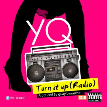 Yq Turn It Up (Radio)
