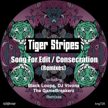 Tiger Stripes feat. Hanna Haïs Consecration (Dj Vivona Remix)