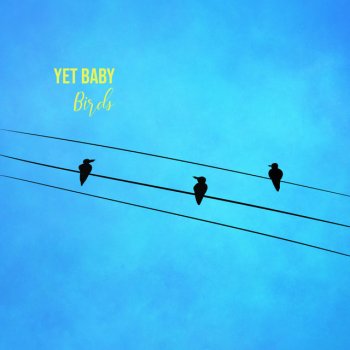 YetBaby Birds