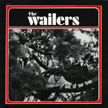 The Wailers Out of Our Tree