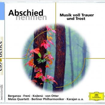 Berliner Philharmoniker feat. Herbert von Karajan, Wolfgang Meyer & Wiener Singverein Requiem in D Minor, K. 626 (Compl. by Franz Xaver Süssmayer): III. Sequentia: Lacrimosa