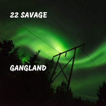 22 Savage Megaman