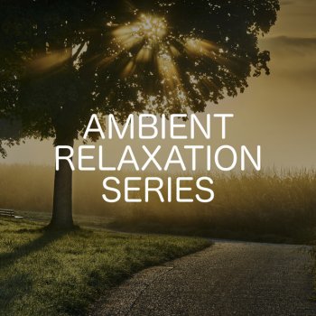 Relaxing Chill Out Music feat. Ambient Nature White Noise Peace And Bliss