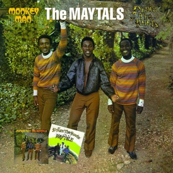 Toots & The Maytals Gonna Need Somebody