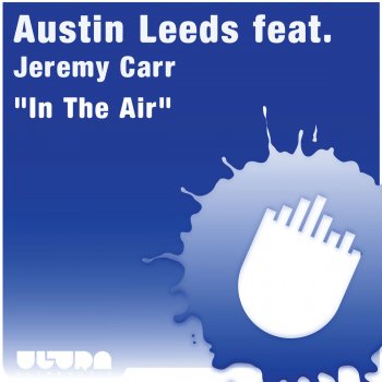 Austin Leeds In the Air - Avicii Radio Edit