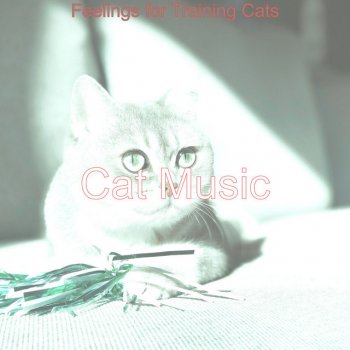 Cat Music Lively Training Cats