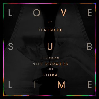 Tensnake feat. Nile Rodgers & Fiora Love Sublime (Duke Dumont Remix)
