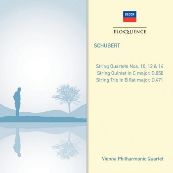 Franz Schubert feat. Vienna Philharmonic Quartet String Quartet No.12 in C minor, D.703 - "Quartettsatz"