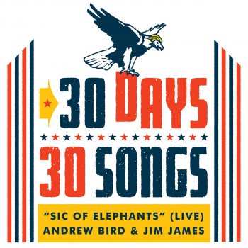 Andrew Bird feat. Jim James Sic of Elephants (30 Days, 30 Songs) [Live]