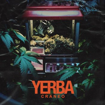 Craneo YERBA