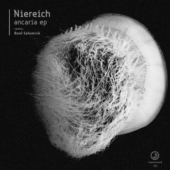 Niereich Agerola Positano (Roel Salemink Remix)