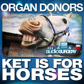 Organ Donors Ket Is for Horses (Darren Styles Remix)