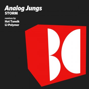 Analog Jungs Storm