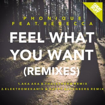 Phonique feat. Rebecca Feel What You Want (Elektromekanik & Happy Gutenberg Remix) [feat. Rebecca]