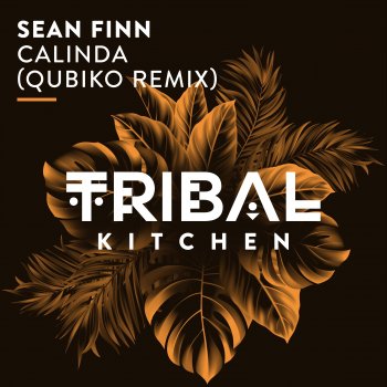 Sean Finn Calinda (Qubiko Remix)