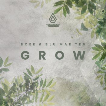 BCee & Blu Mar Ten Grow