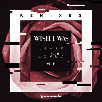Wish I Was Never Loved Me (Alexander Popov Remix)