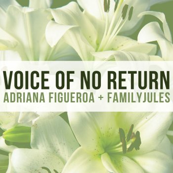 Adriana Figueroa feat. FamilyJules Voice of No Return