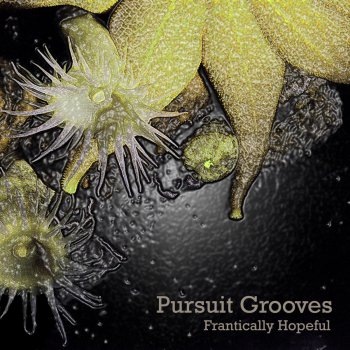 Pursuit Grooves Type Send Universe