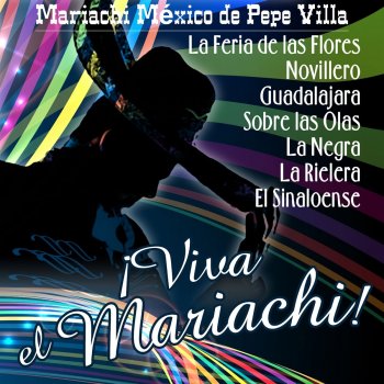 Mariachi Mexico de Pepe Villa Cucurrucucú Paloma