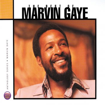 Marvin Gaye You're All I Need To Get By (Single Version / Mono)