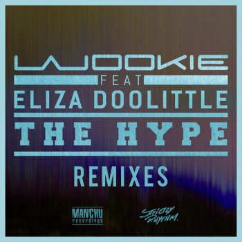 Wookie feat. Eliza Doolittle The Hype - Danny Byrd Remix