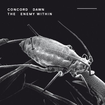 Concord Dawn The Space Between Us