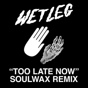 Wet Leg Too Late Now (Soulwax Remix)