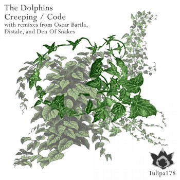The Dolphins Creeping (Distale Remix)