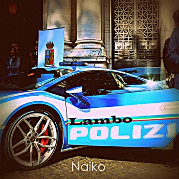 Naiko Run the Polizi